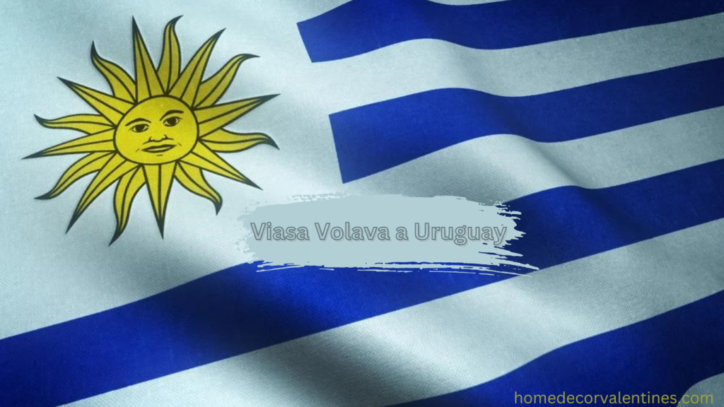 Viasa Volava a Uruguay