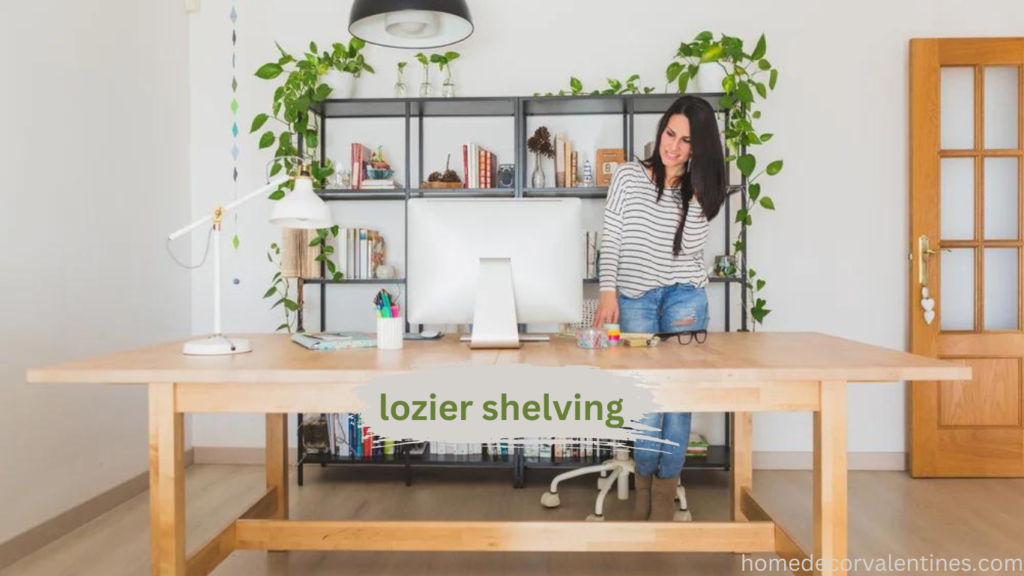 Lozier Shelving