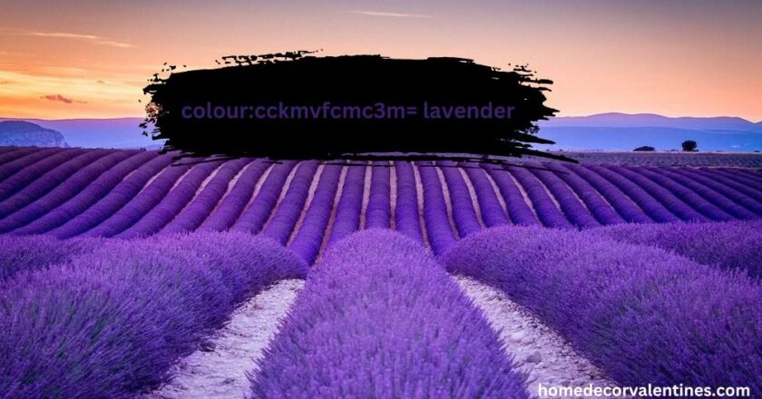 Colour:cckmvfcmc3m= lavender Exploring the Charm and Versatility of This Timeless Hue