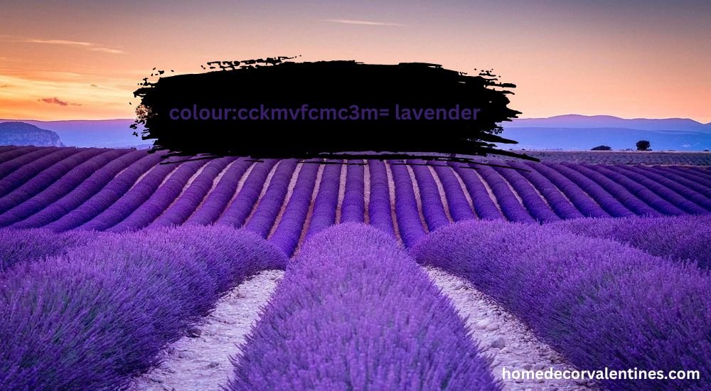 colour:cckmvfcmc3m= lavender