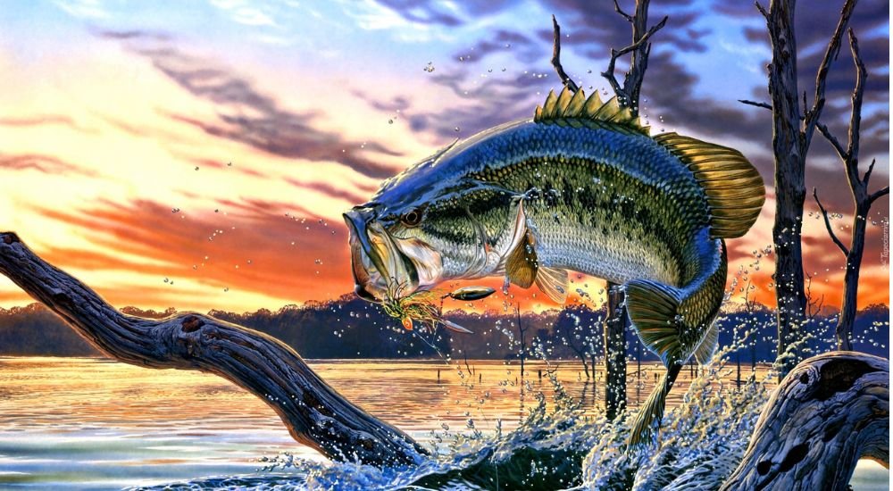 largemouth lake animal nyt